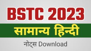 Rajasthan BSTC Hindi Important Question 2023