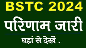 Rajasthan Bstc 2024 result check - predeledraj2024.in